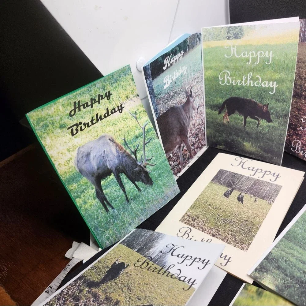Hand Crafted Nature-Themed Birthday Cards Set Of 12